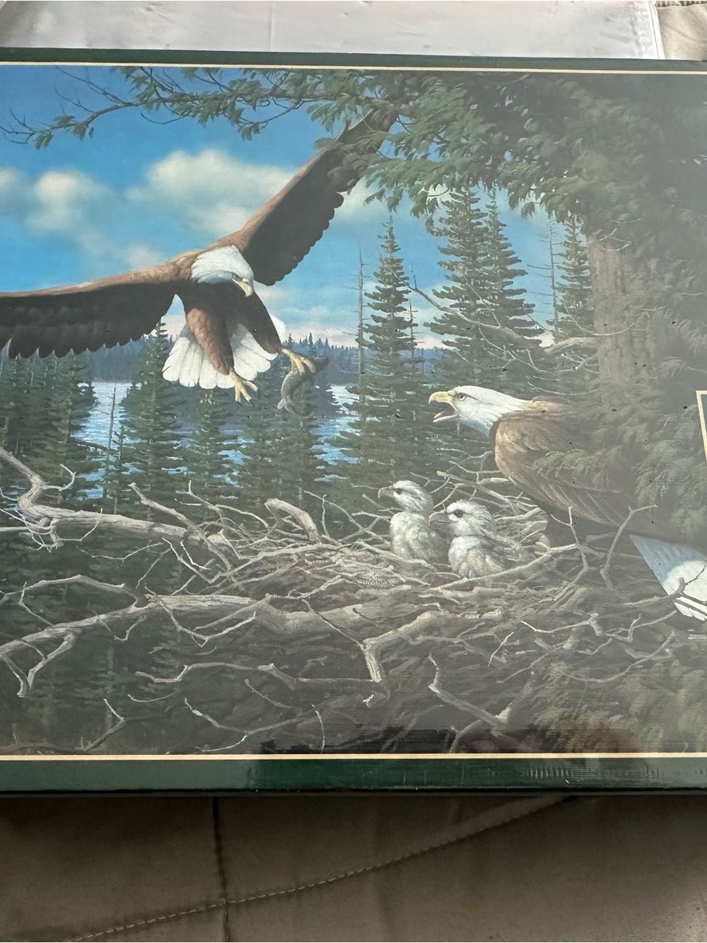 Bald Eagle Family Puzzle - Blue and Brown Nature Scene